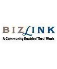 Bizlink Centre Singapore