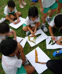 MacPherson Sheng Hong Childcare Centre